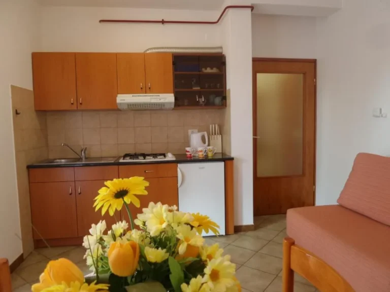 Apartment 1: Küche